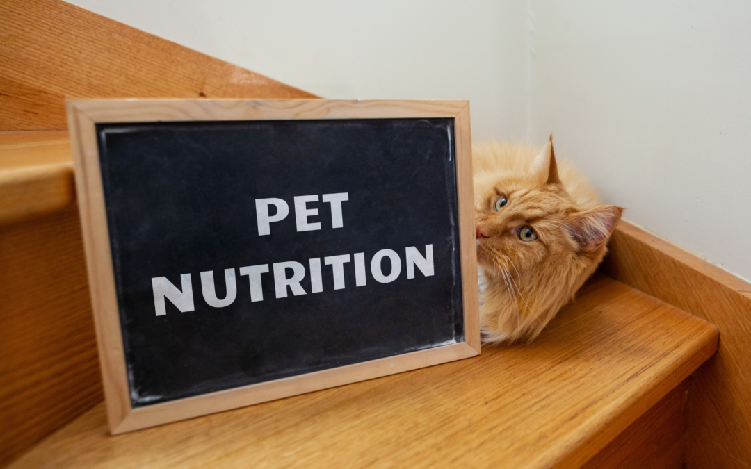 5 Facts About The Importance of Feeding Your Pet a Balanced Diet