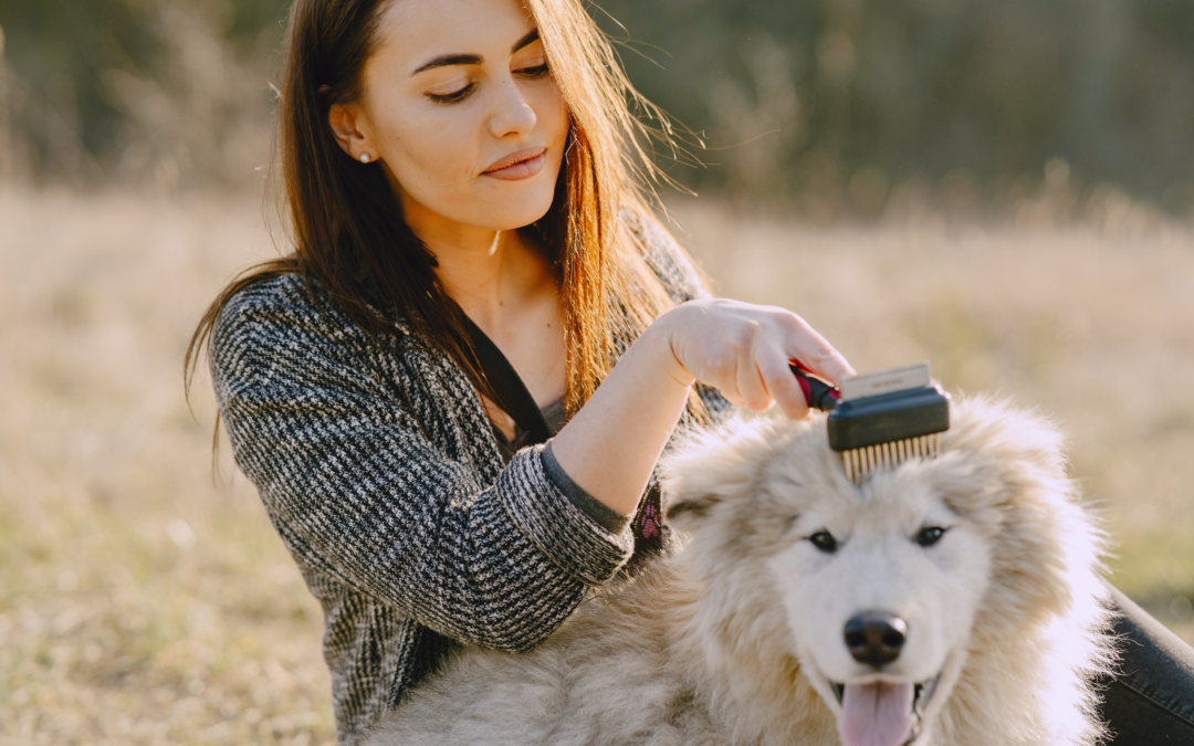 The Importance of Regular Pet Grooming for a Healthy and Happy Companion